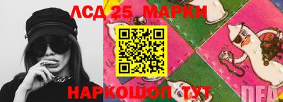 шишки Гатчина
