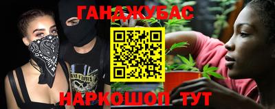 шишки Гатчина