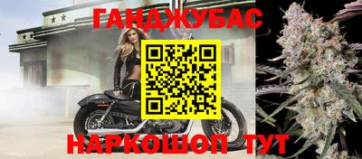 ГАЛЛЮЦИНОГЕННЫЕ ГРИБЫ Гагарин