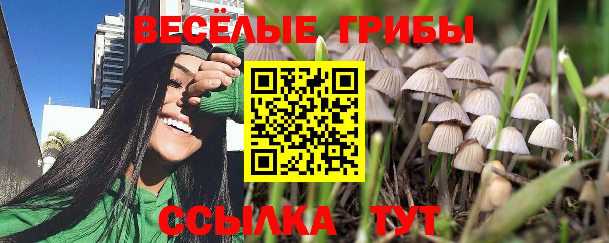 Галлюциногенные грибы GOLDEN TEACHER  Вход с VPN  Воскресенск  Галлюциногенные грибы мицелий 